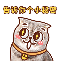 猫咪期待可爱萌宠动态表情包.gif